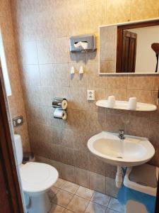 a bathroom with a toilet and a sink at Penzion Leštiny in Dolný Kubín