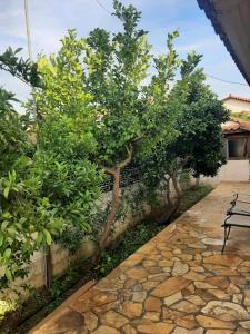 A garden outside Tota's Family House