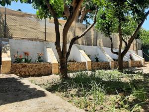 A garden outside Tota's Family House