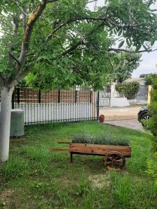 A garden outside Tota's Family House