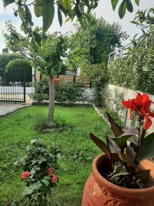 A garden outside Tota's Family House