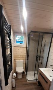 a bathroom with a shower and a toilet and a sink at Wakacyjny dom in Karwia