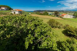 a green bush in a field with houses in the background at CASA LAS OLAS DE LANGRE in Langre