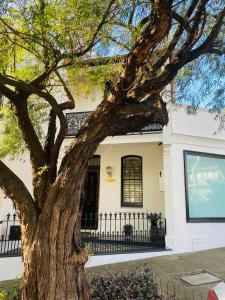 a large tree in front of a white house at Paddington house beautiful 2 bedroom terrace in Sydney