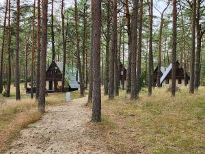 een groep huizen in een bos met bomen bij Jak Tu Sielsko in Osiek