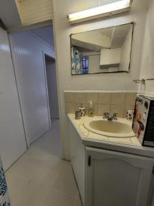 La salle de bains est pourvue d'un lavabo et d'un miroir. dans l'établissement Chez Emmanuel, à Gros Islet