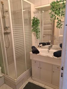 a bathroom with a shower and a sink at Studio proche de Perpignan in Peyrestortes