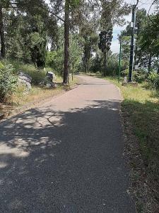 Una carretera vacía con árboles a ambos lados. en Renta apartman, en Podgorica 28 fotos más