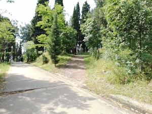 Una carretera vacía con árboles a ambos lados. en Renta apartman, en Podgorica