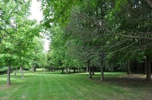 un parque lleno de césped verde y árboles en La Villa des Tilleuls, en Cambremer