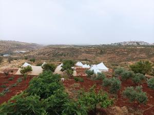a row of white tents in a field with trees at Barrieh in Rammūn