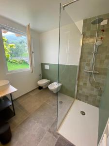 a bathroom with a glass shower and a toilet at Relais PINF in Malcesine