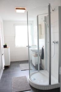 a bathroom with a shower and a sink at Ferienhaus Waldshut-Tiengen 2-10 Personen in Waldshut-Tiengen
