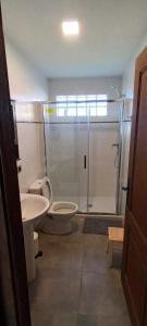 a bathroom with a shower and a toilet and a sink at Apartamentos Casa de los ramos 2 in Vinuesa