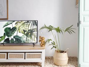 een woonkamer met een tv en een plant op een dressoir bij Las Pizarrillas: tu hogar en este blanco pueblo in Frigiliana
