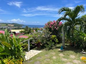 einen Garten mit einer Palme und Meerblick in der Unterkunft Studio Ti’ Colibri in Sainte-Marie