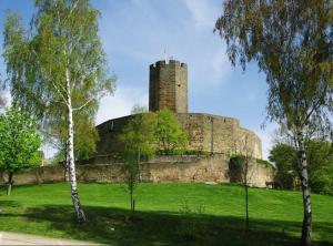 a castle sitting on top of a lush green field at Ferienwohnung Morenz in Sinsheim