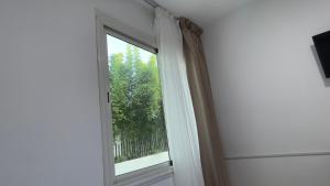 okno z widokiem na drzewo w obiekcie 100% women suite (Rooms with private bathrooms) w mieście Rabat