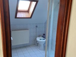 Elle comprend une petite salle de bains pourvue de toilettes et d'une fenêtre. dans l'établissement Erdőgyöngye Vendégház CSÖDE, à Csöde