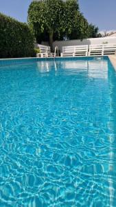 トラッペートにあるAppartamento Costantino in Villa con piscinaの青い大型スイミングプール(白い椅子2脚付)