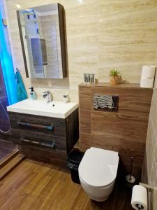 a bathroom with a white toilet and a sink at Parkowy - Sweet House in Świnoujście