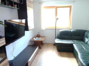 sala de estar con sofá y TV de pantalla plana en Ferienwohnung Maari, en Hittisau