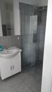 W łazience znajduje się umywalka i przeszklony prysznic. w obiekcie Monteurszimmer in Hof w mieście Hof