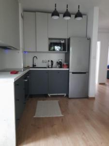 A kitchen or kitchenette at Apartament Zielona Zatoka