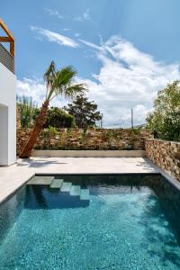 una piscina accanto a un muro di pietra con una palma di Clementina Paros a Kampos Paros
