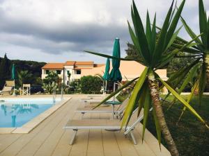 a pool with chairs and umbrellas and a palm tree at Bed & Breakfast Alex in Capoliveri