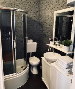 a bathroom with a shower and a toilet and a sink at City Square Apartment in Poreč