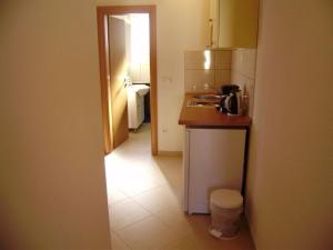 Kuchyň nebo kuchyňský kout v ubytování Apartments Roko