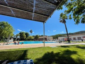 Blick auf einen Swimmingpool mit einer Palme in der Unterkunft Terra - Valle de Ayora in Jalance