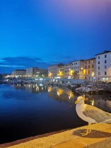 Phong cảnh thiên nhiên gần căn hộ