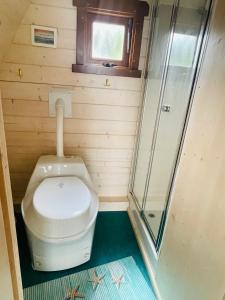 La petite salle de bains est pourvue d'une douche et de toilettes. dans l'établissement Schwimmpod an der Peene, à Anklam