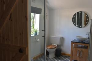 a bathroom with a toilet and a sink and a mirror at Moorland Breeze in Bodmin