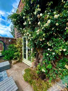 約克的住宿－Tanyard Cottage - Whixley, York, North Yorkshire，一座带窗户的建筑和玫瑰花丛