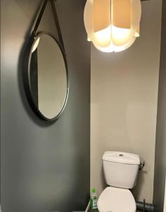 uma casa de banho com um WC branco e um espelho. em Vigne et mer-Spacieux Appartement Haussmannien-2chambres-Wifi em Béziers