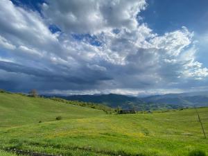 un campo verde con un cielo nublado y montañas en Fuoridicampo, en Roncovetro