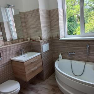 a bathroom with a tub and a toilet and a sink at Gradina de Vara Sulina in Sulina