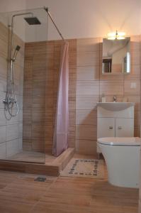 W łazience znajduje się prysznic, toaleta i umywalka. w obiekcie Agatha's spacious modern apt-1 w mieście Perítheia