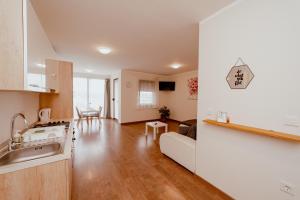 a kitchen and living room with a sink and a stove at Jankovi Dvori in Rakovica