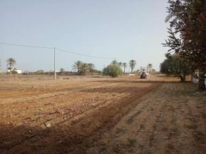 un camino de tierra en medio de un campo en Bungalow Djerbien, en Midoun