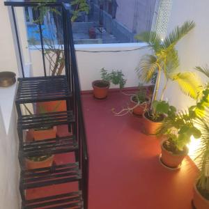 une chambre avec des plantes en pot et un escalier en colimaçon dans l'établissement La Maison Radha, à Pondichéry