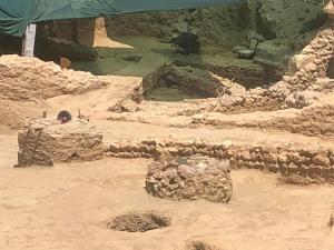 Foto dalla galleria di Acropolis Ancient World - 5 minutes from subway and Acropolis Museum ad Atene
