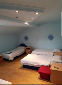 Habitación con 2 camas, paredes azules y suelo de madera. en Viktorija Nova en Kanjiža