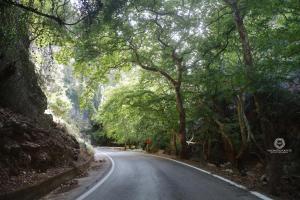 an empty road with trees on either side of it at Kastrochori Apartment in Galariá