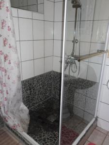 a shower with a glass door in a bathroom at GITE LA FERMETTE A DOCELLES in Docelles