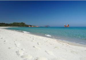 una spiaggia con impronte di piedi nella sabbia e nell'oceano di SA DOMU DE S'ORTU a Bari Sardo