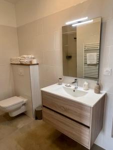 a bathroom with a sink and a toilet and a mirror at Appartement 2-4 pers, ACCES DIRECT MER in Casaglione